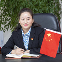 Jingfeng Fan
