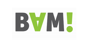 https://www.fet-bam.eu/